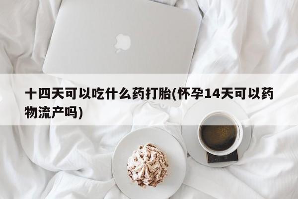 卖正品米索前列醇片微信十四天可以吃什么药打胎(怀孕14天可以药物流产吗)