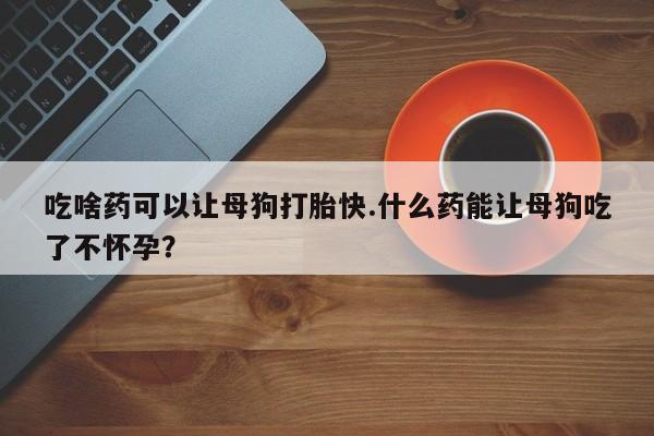 卖正品米索前列醇片微信吃啥药可以让母狗打胎快.什么药能让母狗吃了不怀孕？